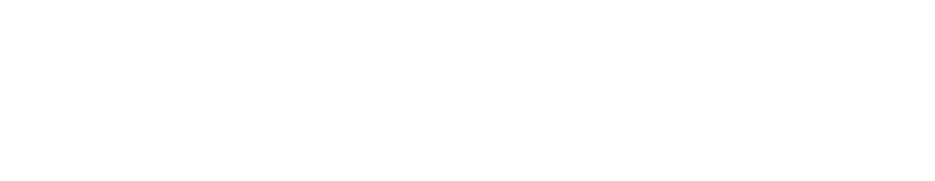 Wyvern Transparent White Logo